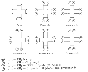 hemogl1