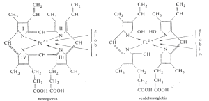 hemogl9